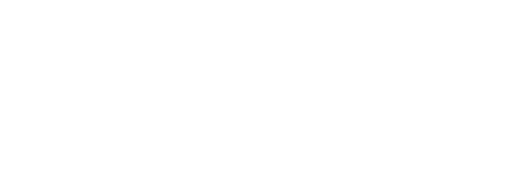 Desenho técnico Traveller 18 lugares